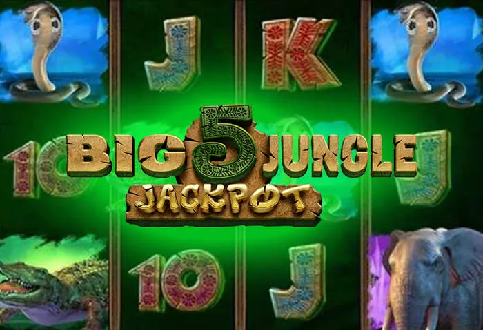 Casino gaming image